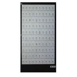 Почтовый модуль Post 100