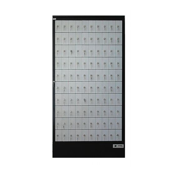 Почтовый модуль Post 100