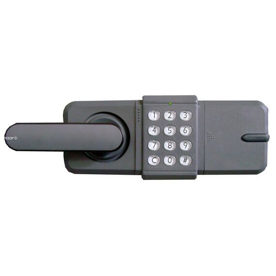 Замок Diplomat EDL21